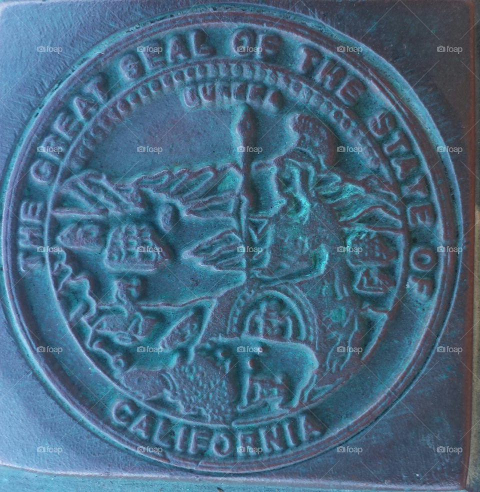 seal