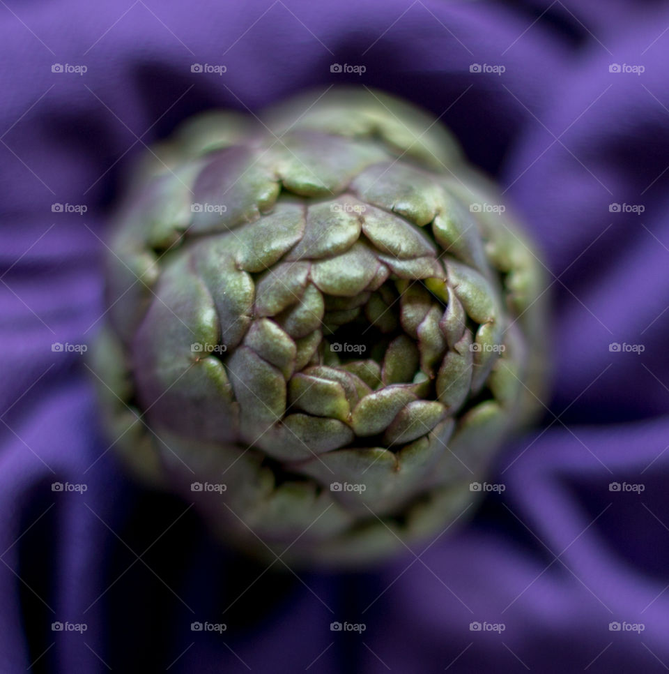 Artichoke 