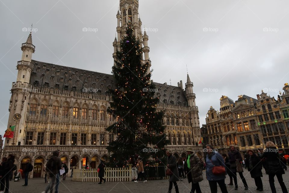 Christmas Tree in Brussels