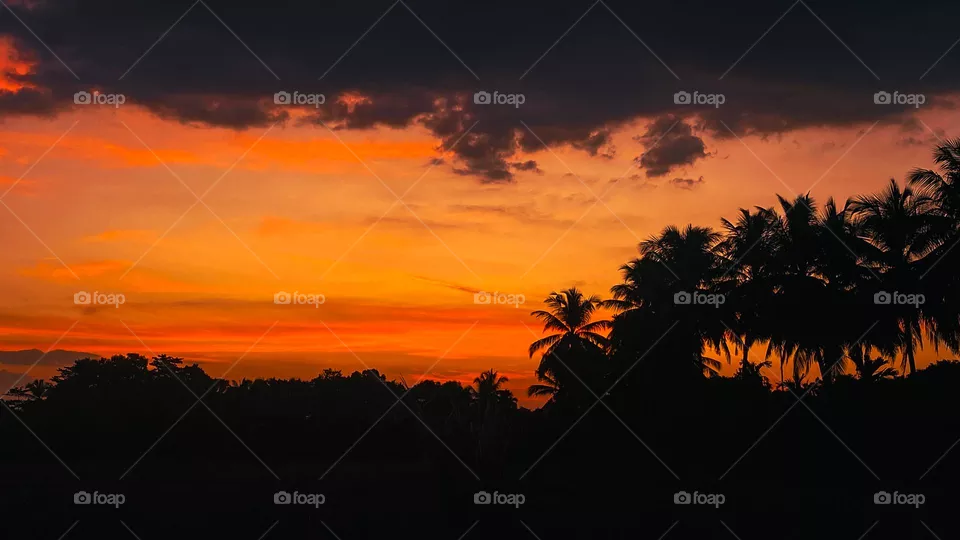 sunset