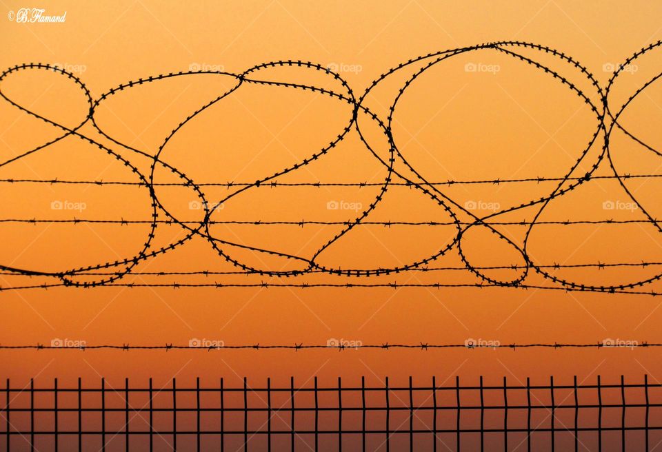 Wire fence