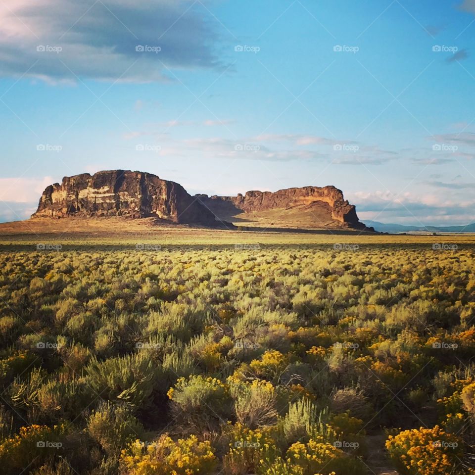Fort Rock and the Oregon Outback. 