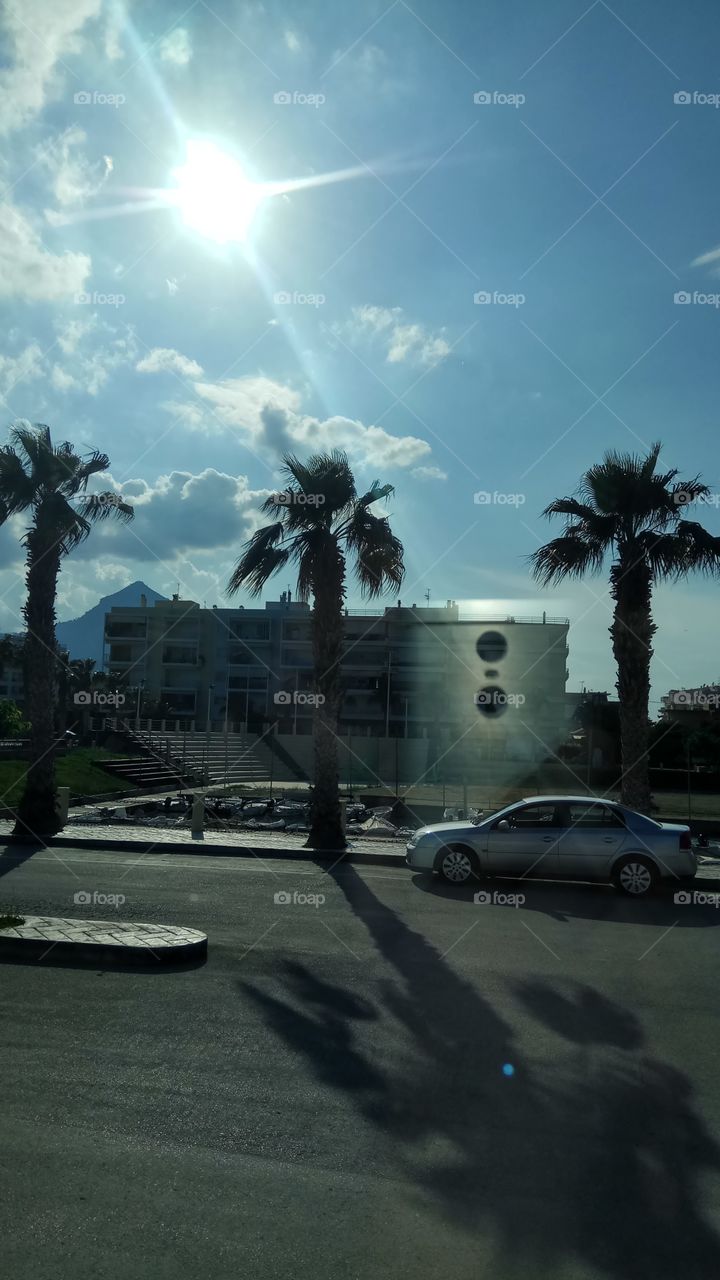 Three palm trees and the sun...Xylokastro,Greece