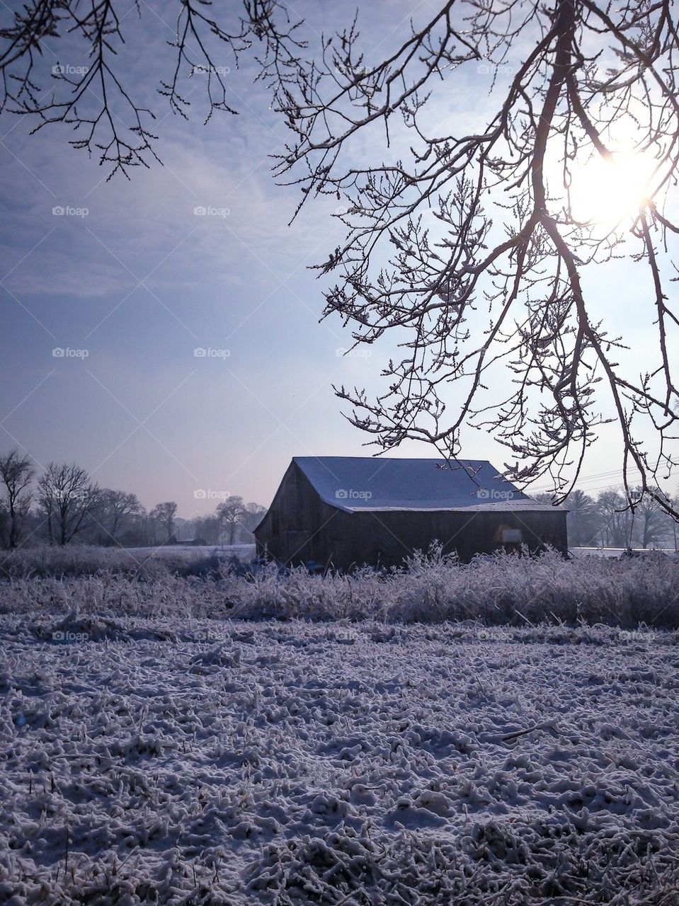 Winter at the farm