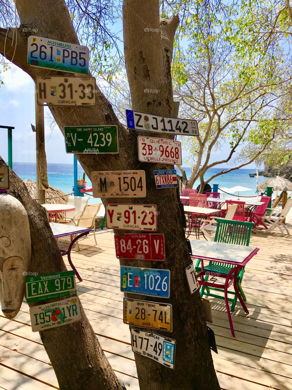 Colorful license plates on tree