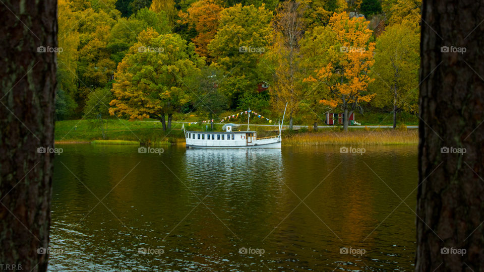 autumn scene reflected on the lake