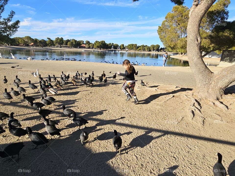 Frolicking with wildlife