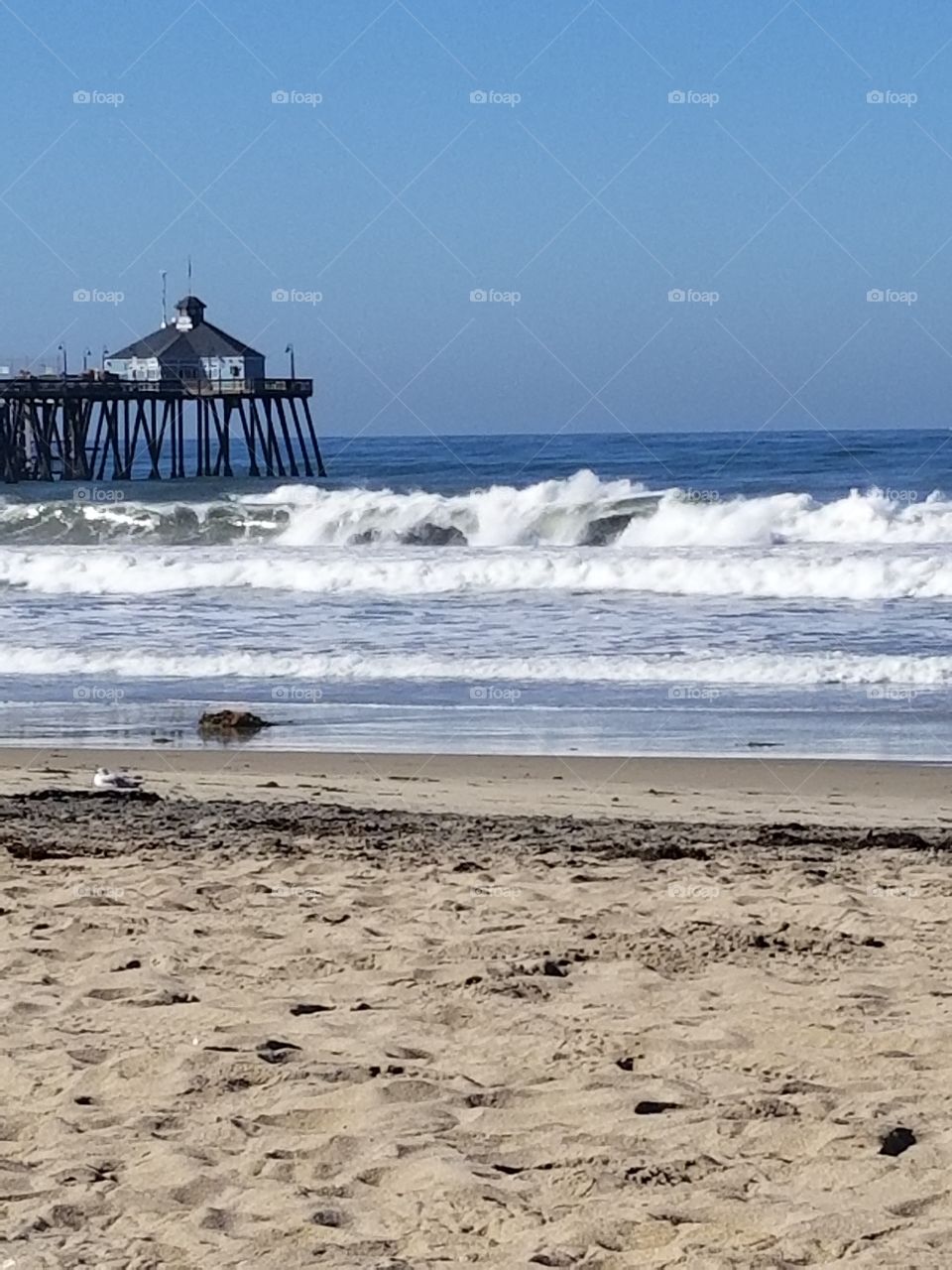 Wave watching in Imperial Beach, California