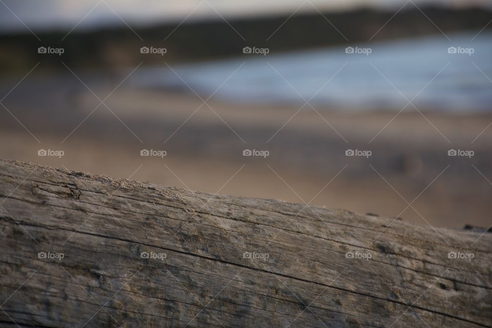 Close-up of old wood