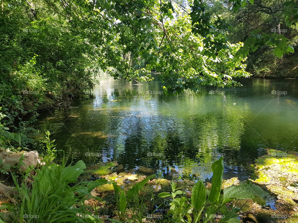 time in the nature 😉😉😉😉,summer time 🌳🌳🌳