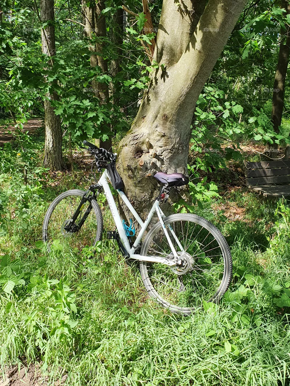 I love my bike