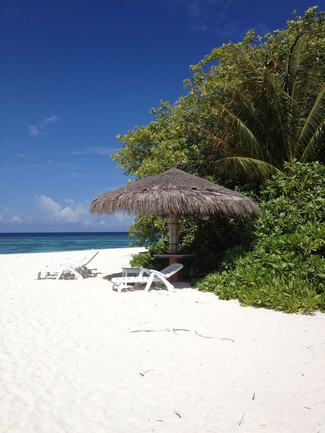 beach sky plants blue by babie