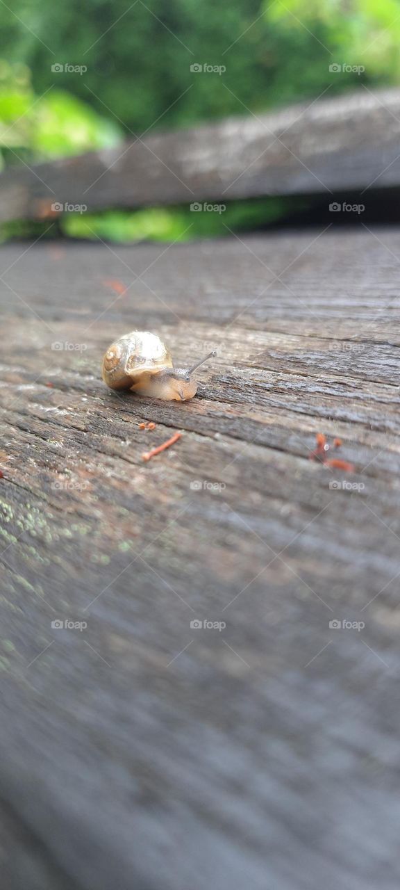 just looking for something