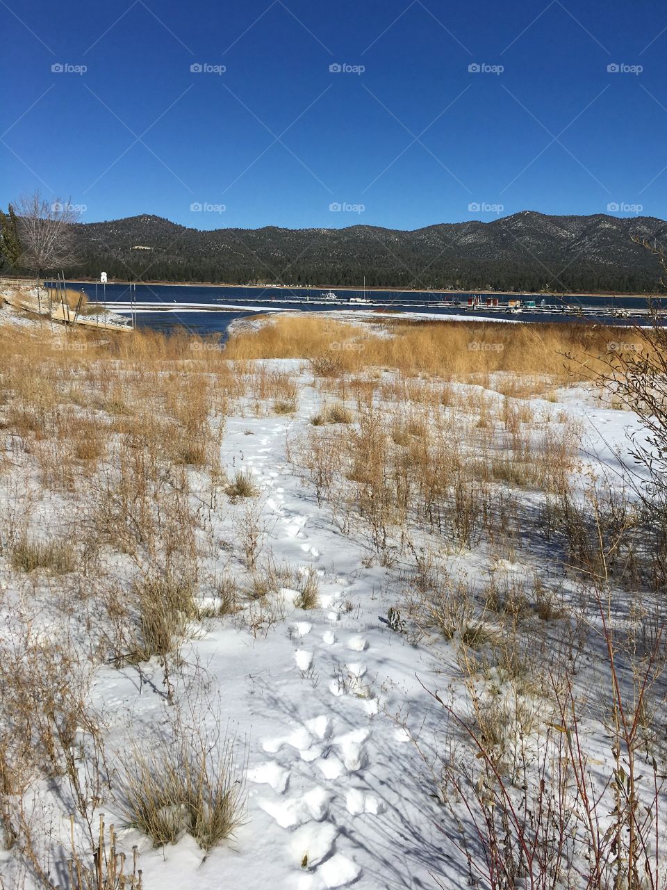 In the crisp morning you wake up and see that snow has fallen for the first time that winter. The sky has cleared to a spotless blue and in the distance the mountains can be seen stern, like a barrier as if raing to keep the beauty inside limits. It is time for a walk to the lake in the squeaky snow. 