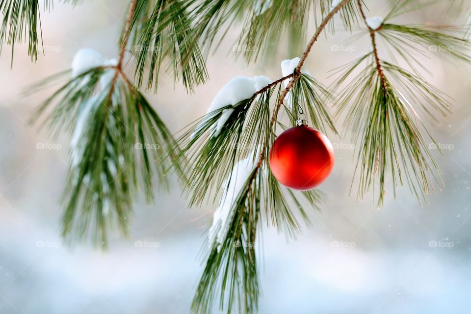 Christmas ornament on a snowy tree