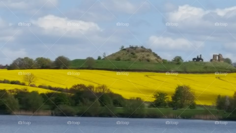 farmland