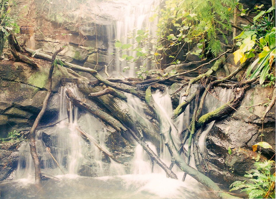 Tropical Waterfall