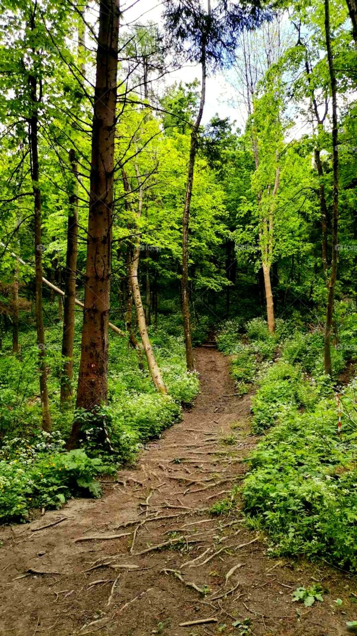 Nature is mesmerizing