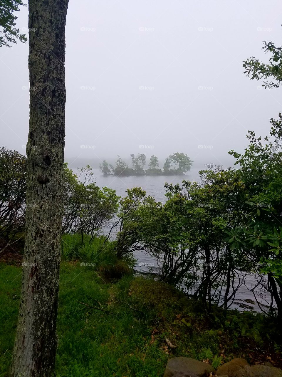 island in middle of lake surrounded by fog
