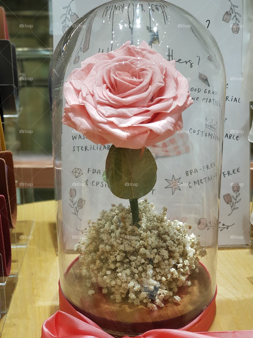 Pink Rose in a glass