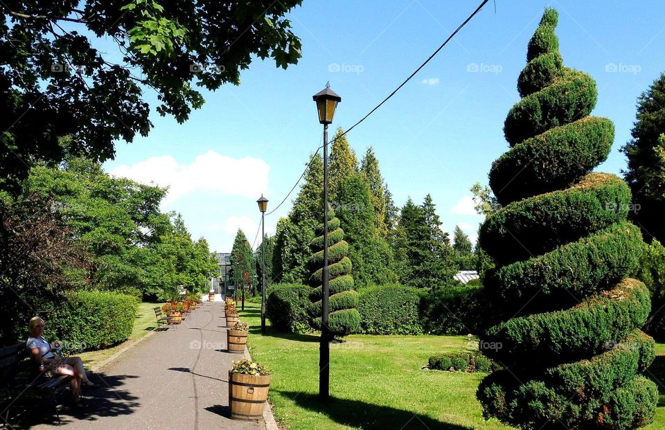 Palm house in the city of Walbrzych in Poland