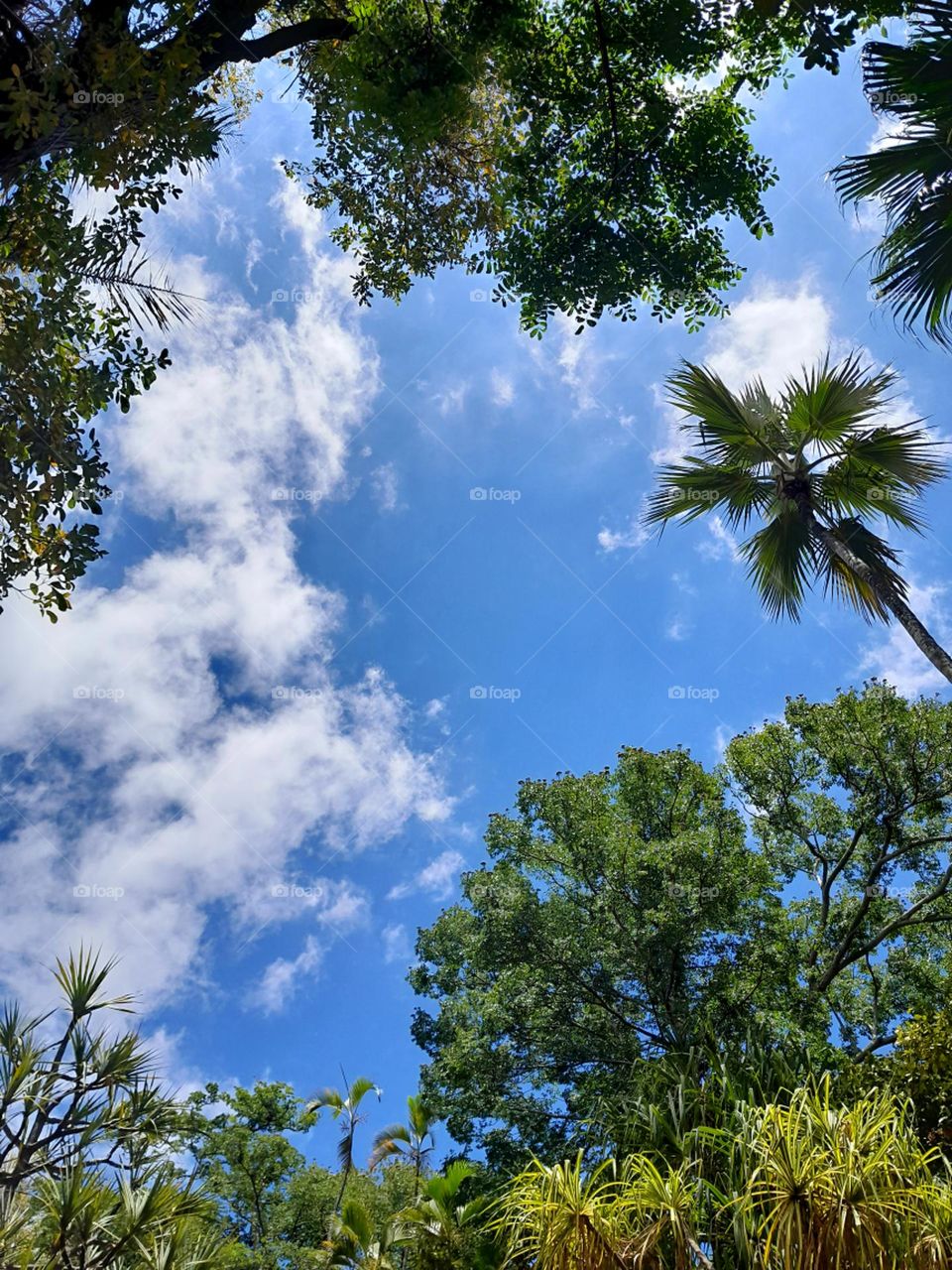 Blue sky and white clouds.