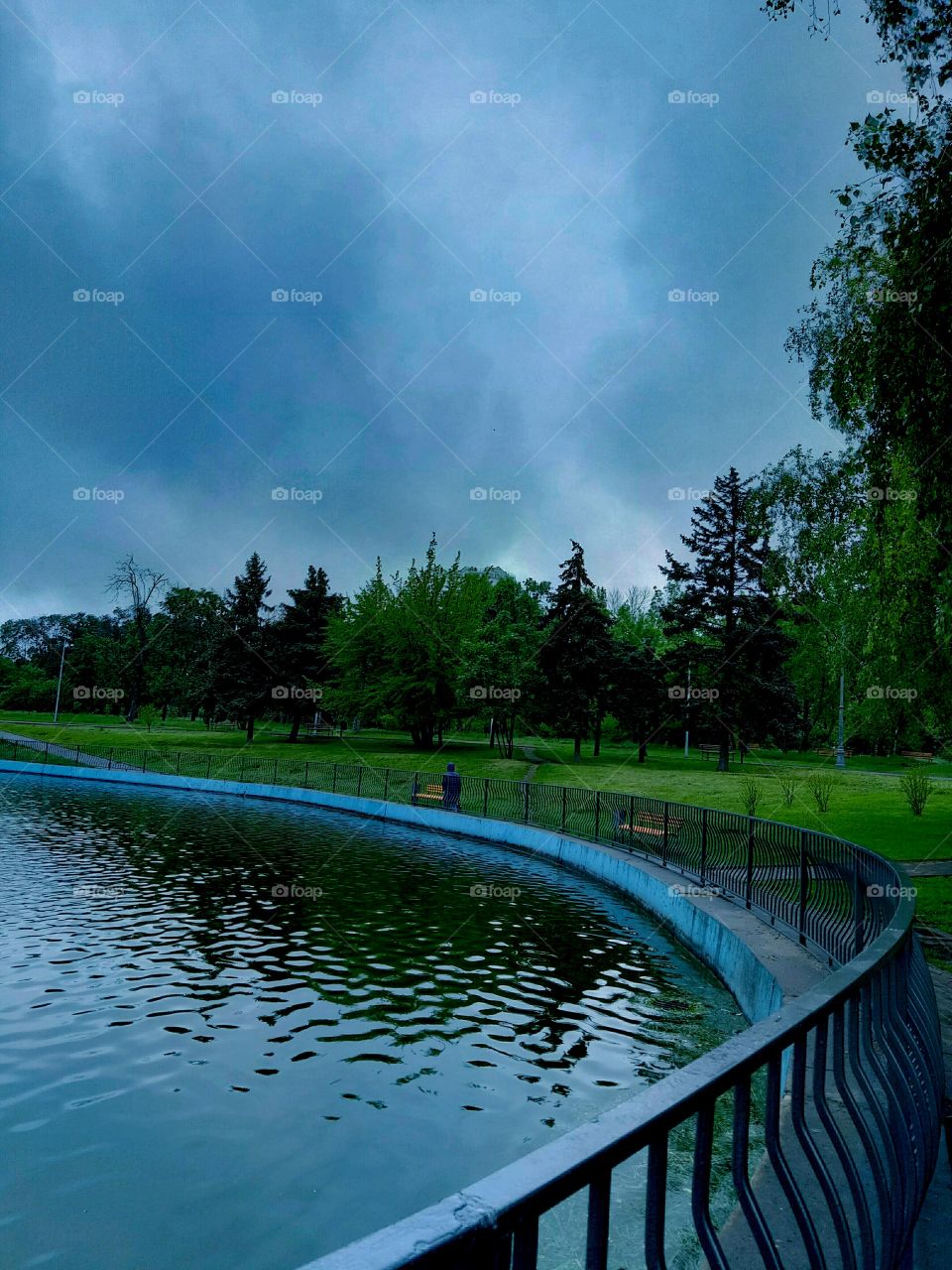 Water, No Person, Tree, Lake, Dug Out Pool