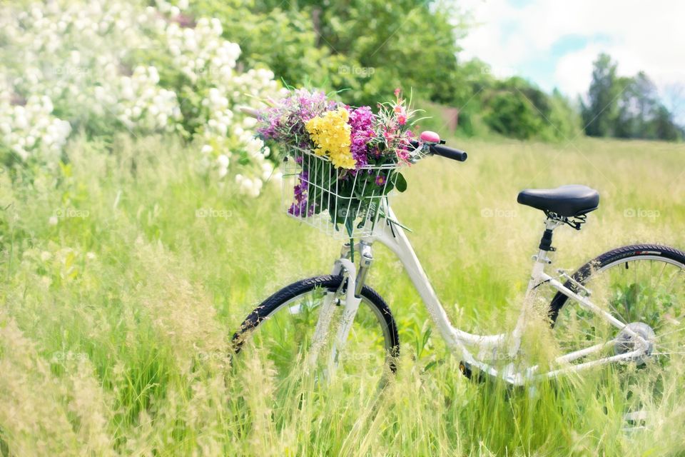 Bike in meadows