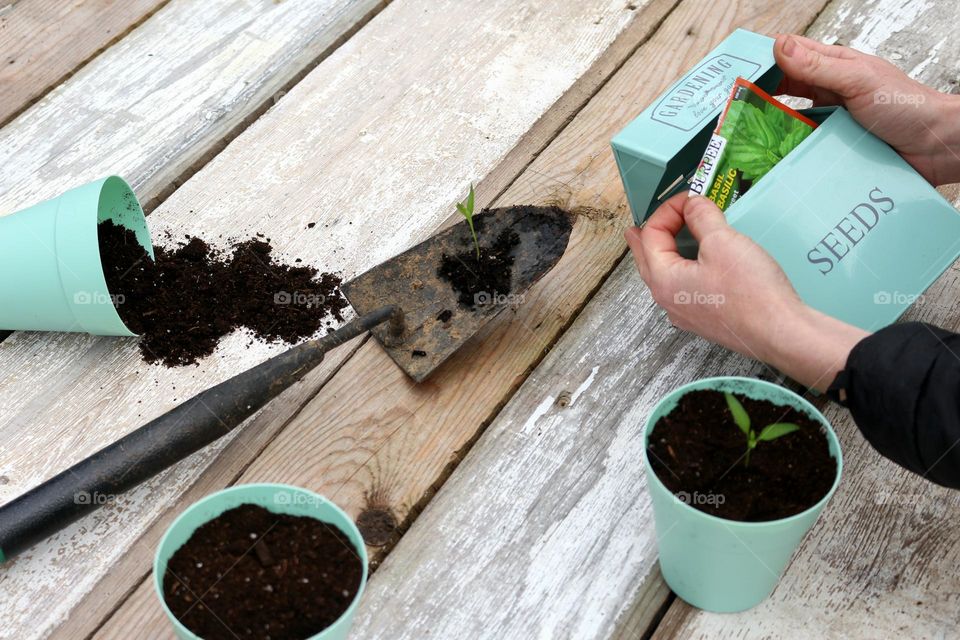 Taking out a packet of vegetable seeds from a seed box to plant.