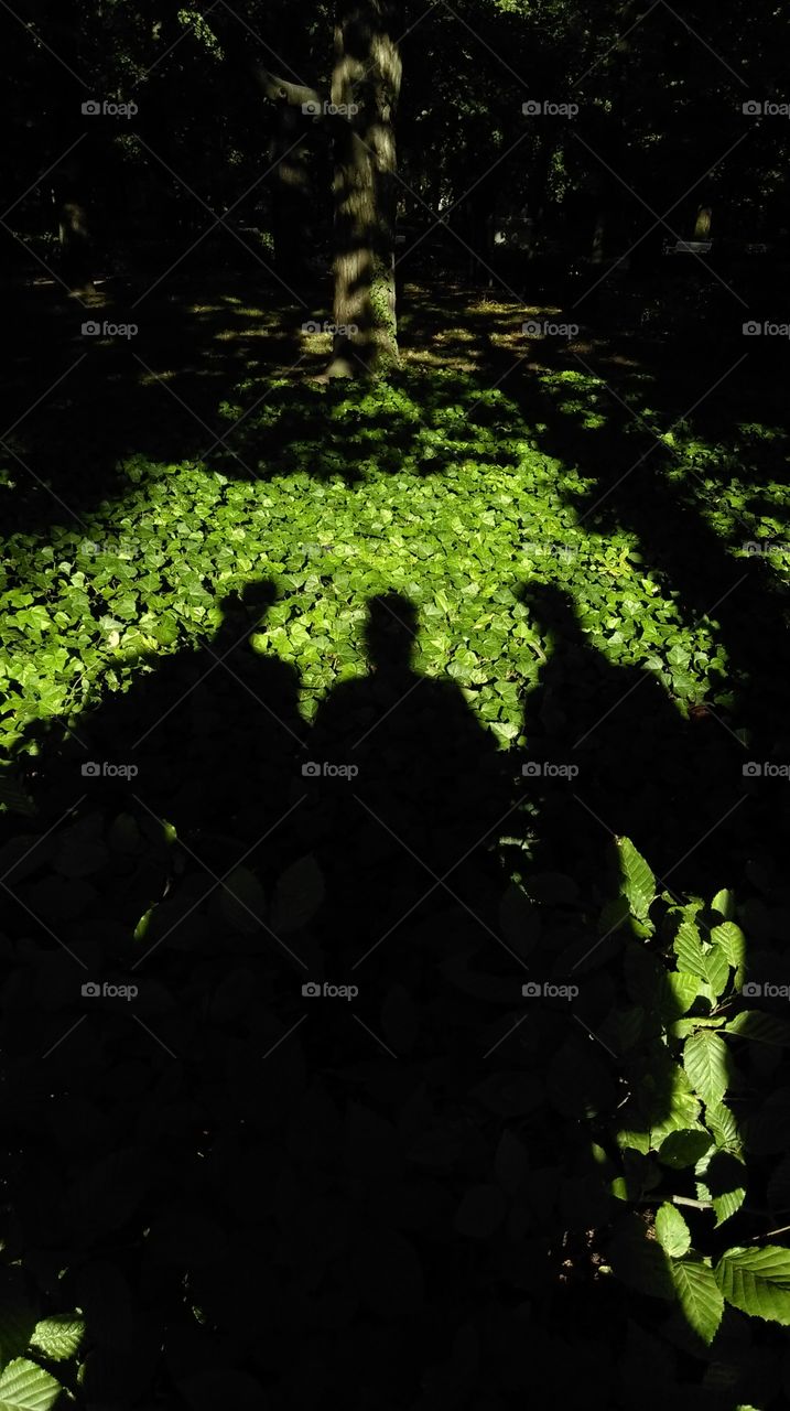 Friends having fun with shadows on the evy leafs