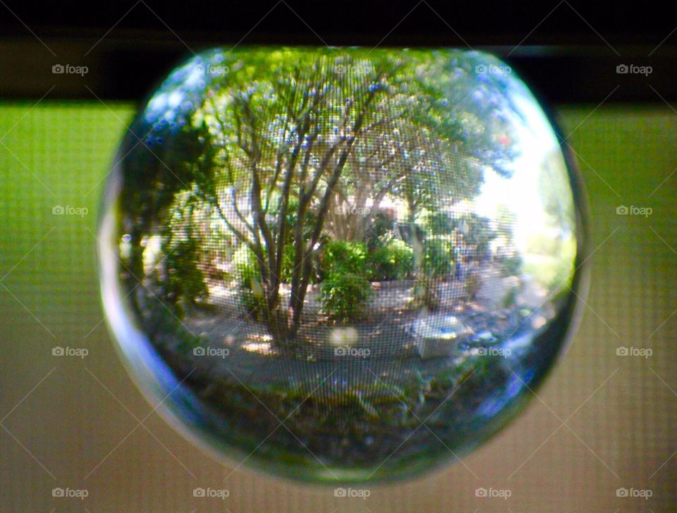 Tree and landscape as seen through a photography ball.