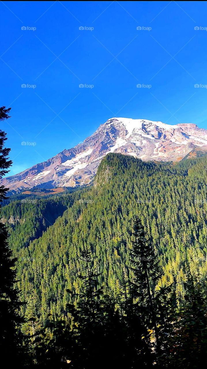 Go Where You Feel Most Alive 