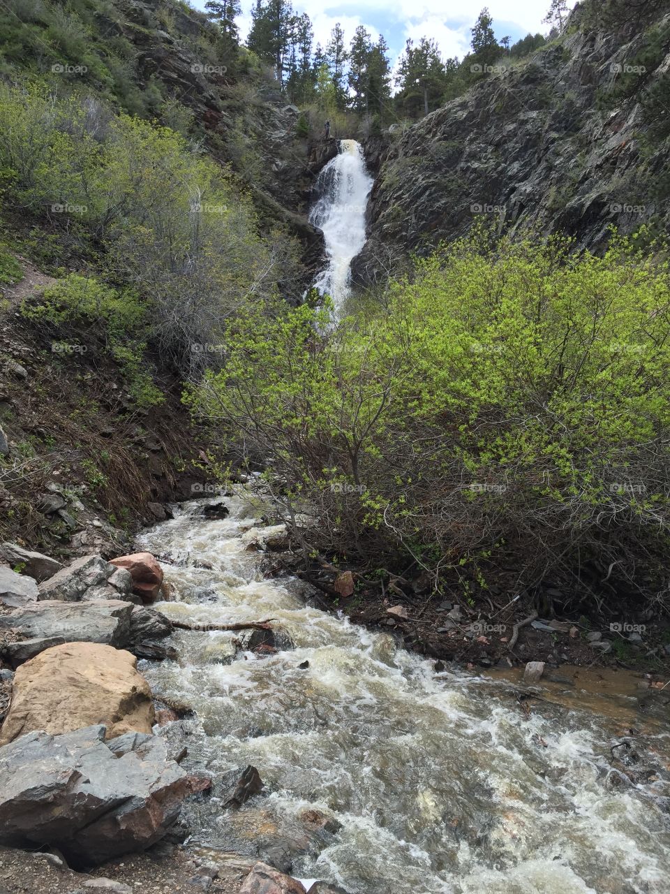 Waterfall. A beautiful Wyoming waterfall