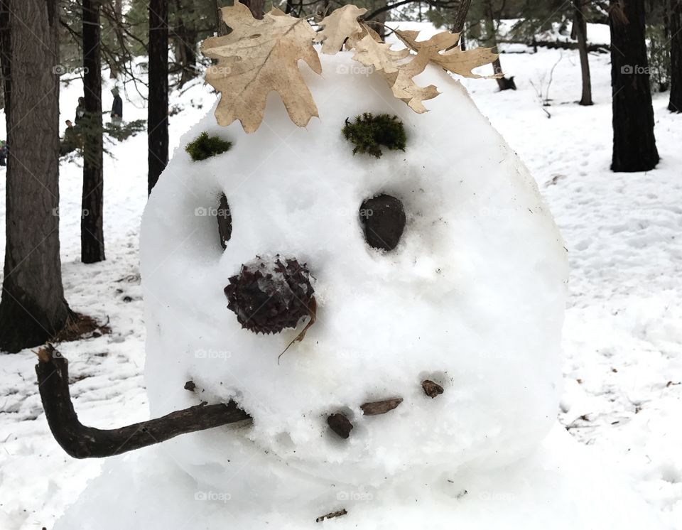 Totally Organic Snowman