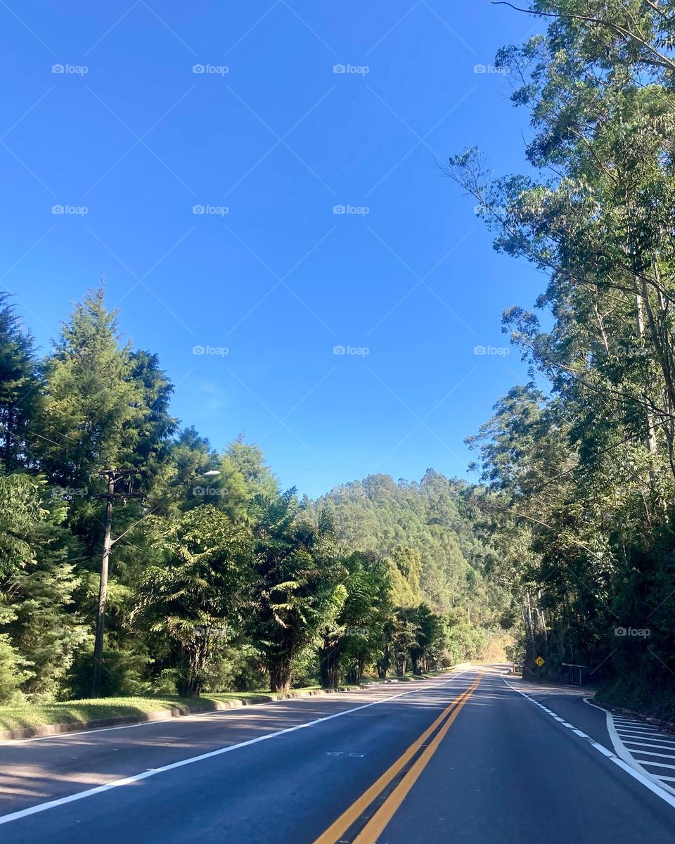 Um clique da Estrada Velha de São Paulo, na altura da Serra dos Cristais, há pouco. 
Fotografar acalma!