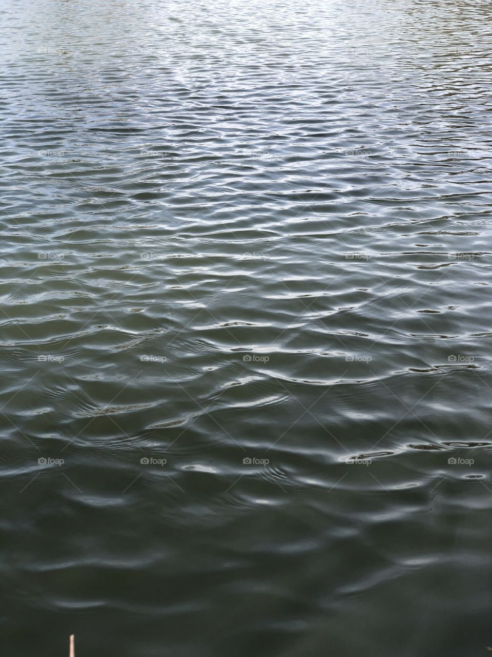 A windy day on the edge of a sandy lake making ripples on the clear water.