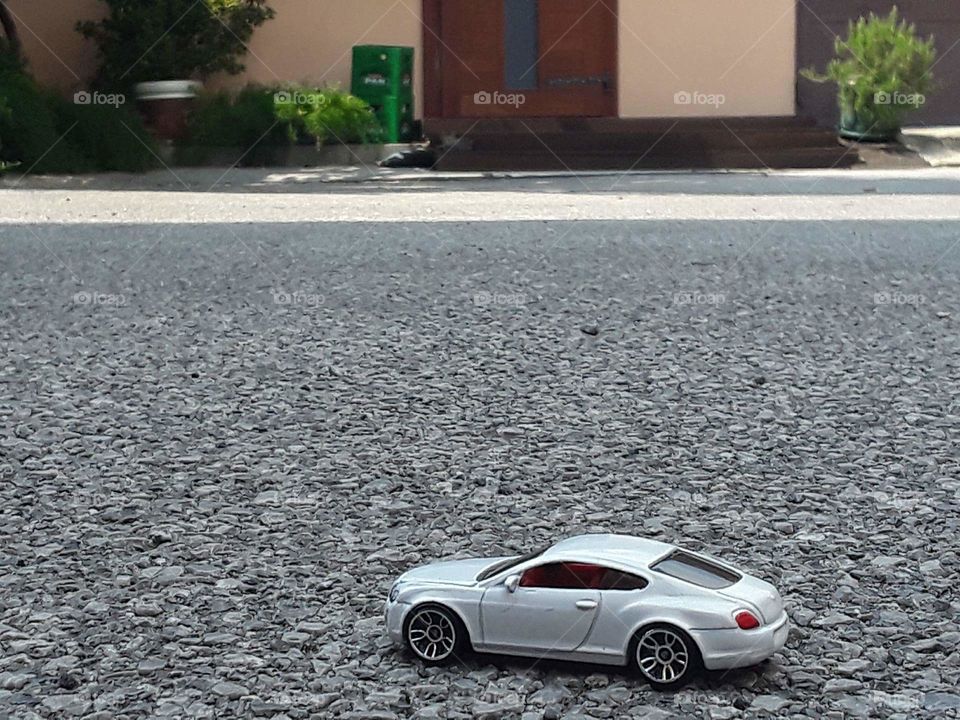 One day it will grow to a big one!