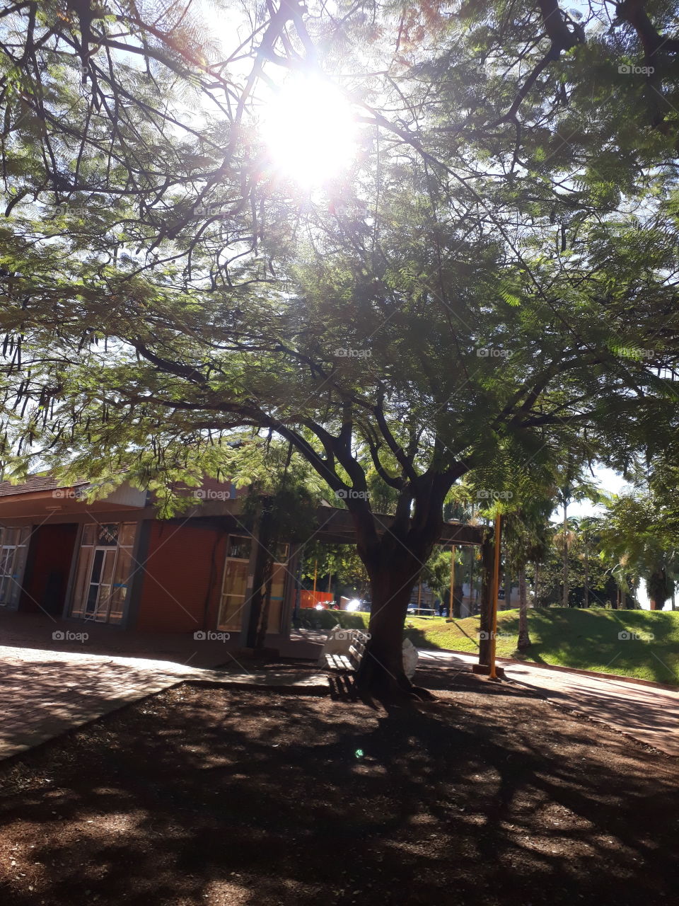 Praça Brasília, Cafelândia Paraná Brasil