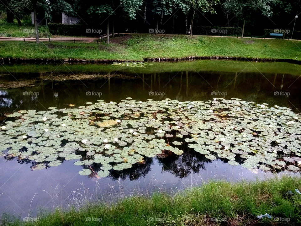 Lac