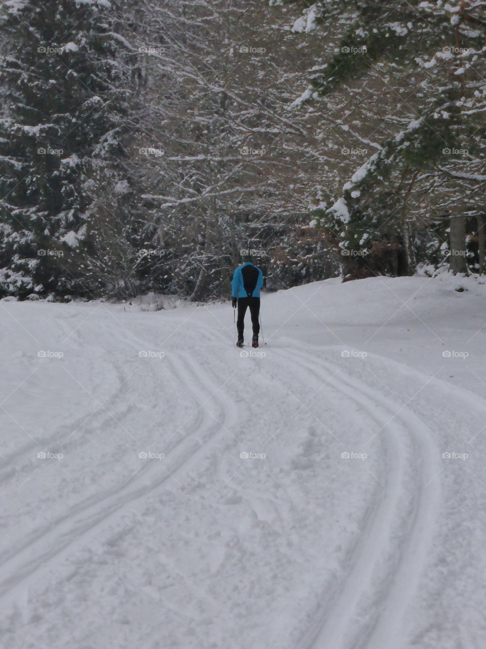 Skiing in the ski trails