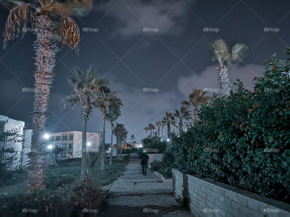 A man walks between the palms, trees, and the plants at night.