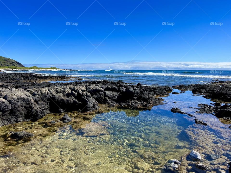 Tidepools on Kaloko Beach in Hawaii Kai