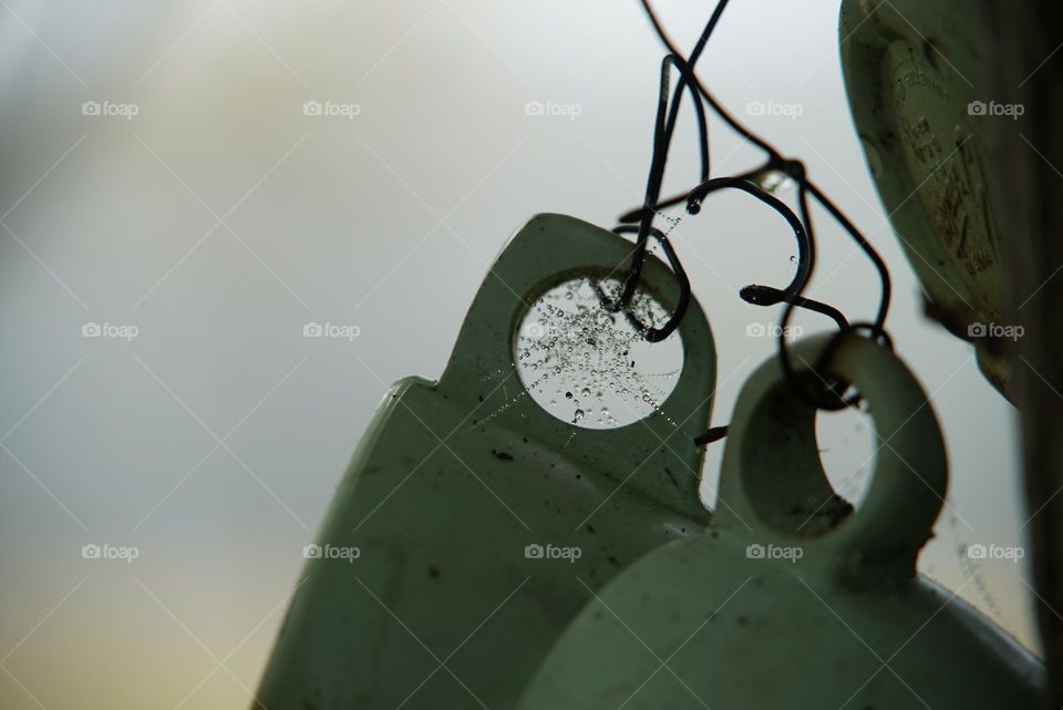 Dew drops on a spider web on a cup