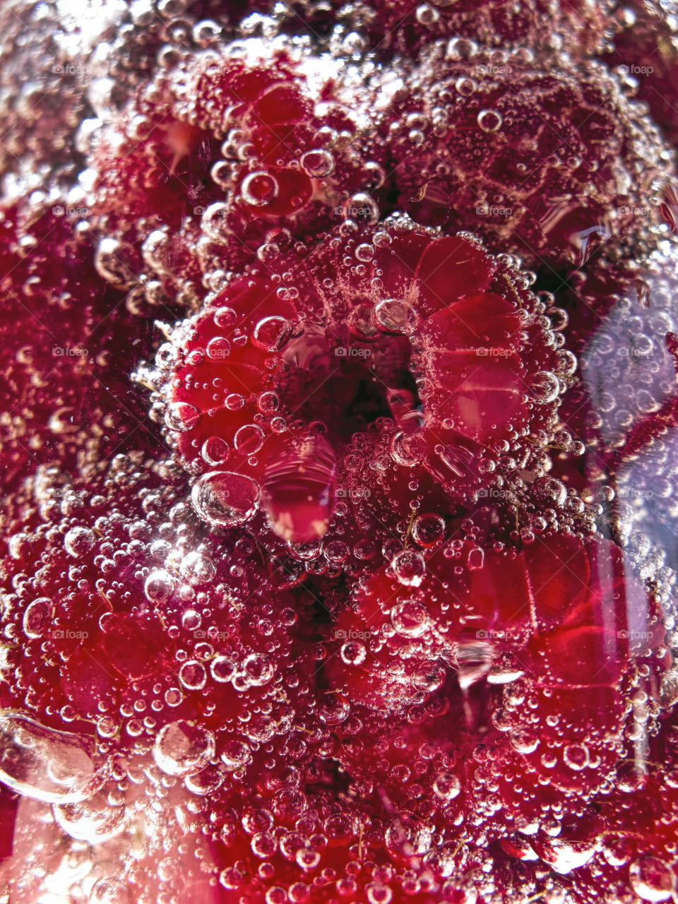 Raspberries in carbonated water closeup