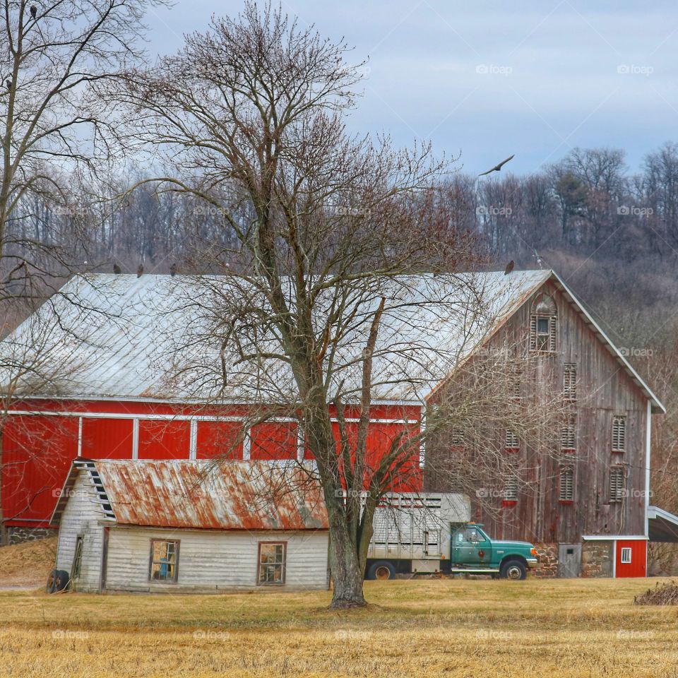 down on the farm