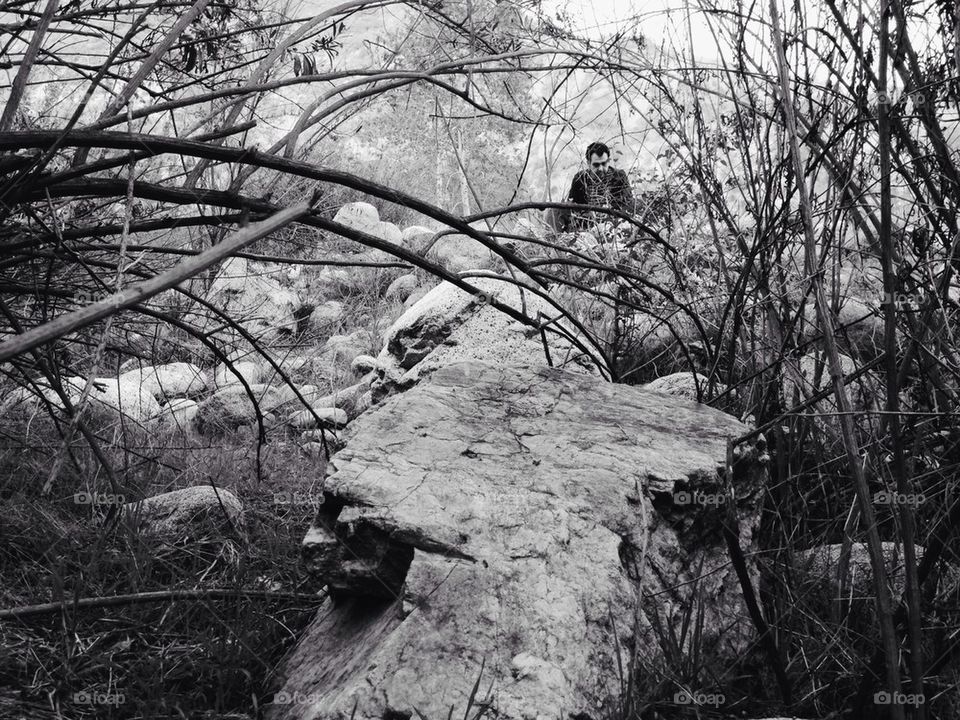 Man hiding in bushes