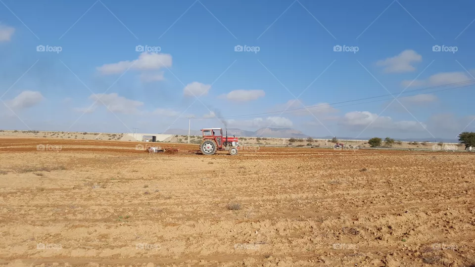 agriculture