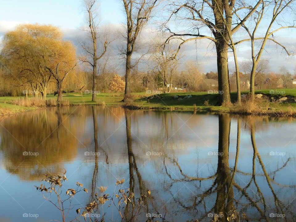 Cold walk in my backyard