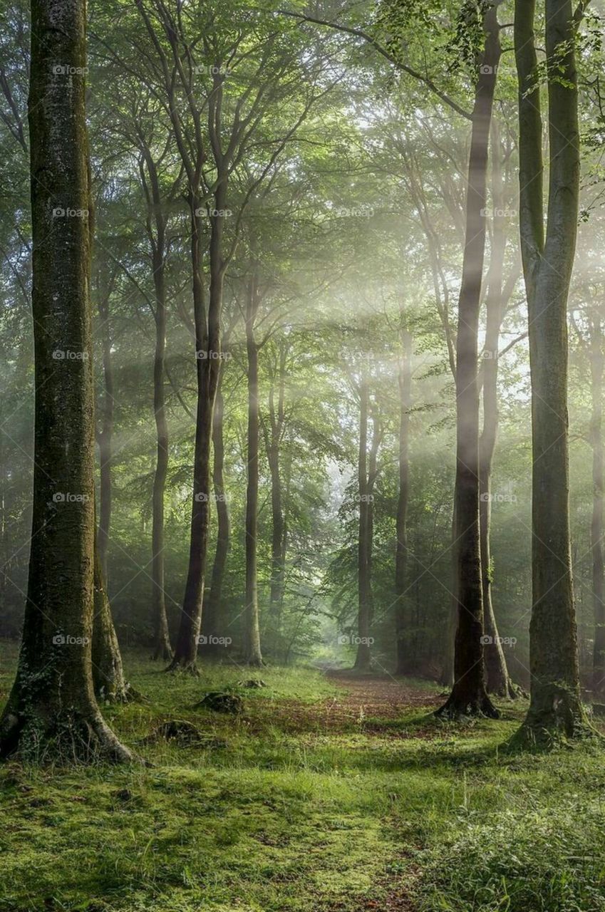 best place to take photos