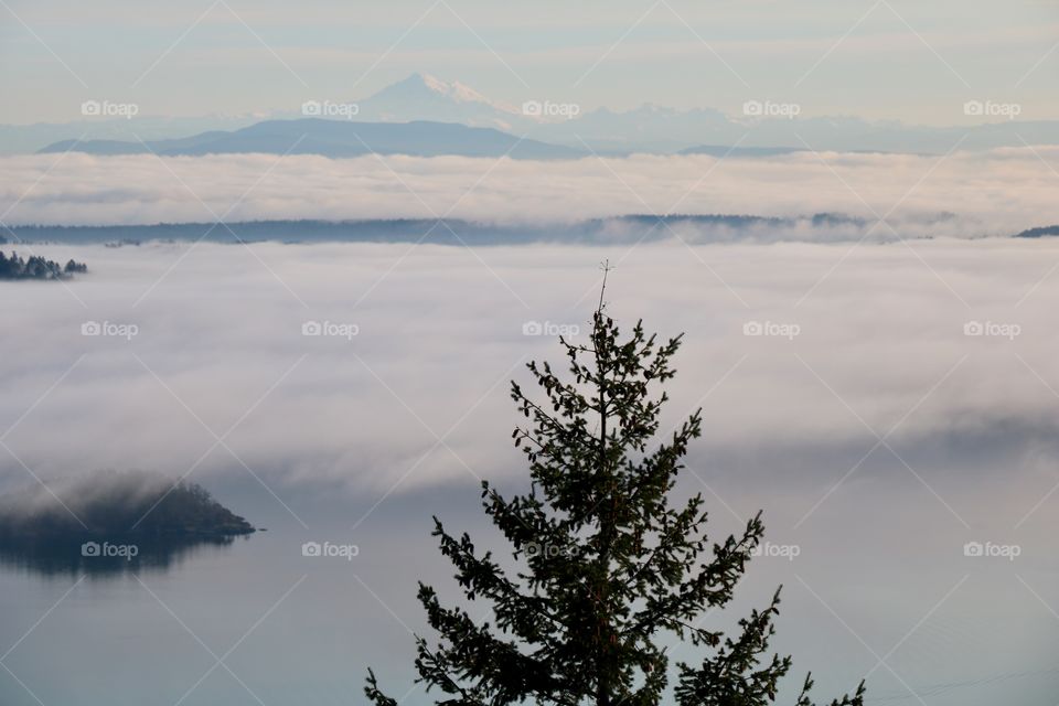 Fog over the ocean